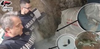 Cambia tutto, è reato tenere i cibi guasti nel magazzino del locale.