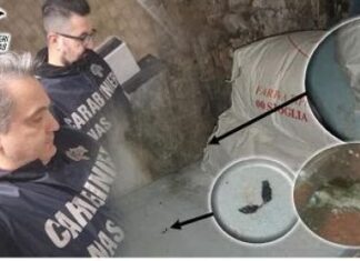 Cambia tutto, è reato tenere i cibi guasti nel magazzino del locale.