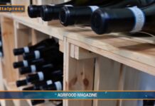 “Tg Agrifood Magazine” Il vino traina l’export degli alcolici europei