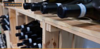 “Tg Agrifood Magazine” Il vino traina l’export degli alcolici europei