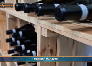 “Tg Agrifood Magazine” Il vino traina l’export degli alcolici europei