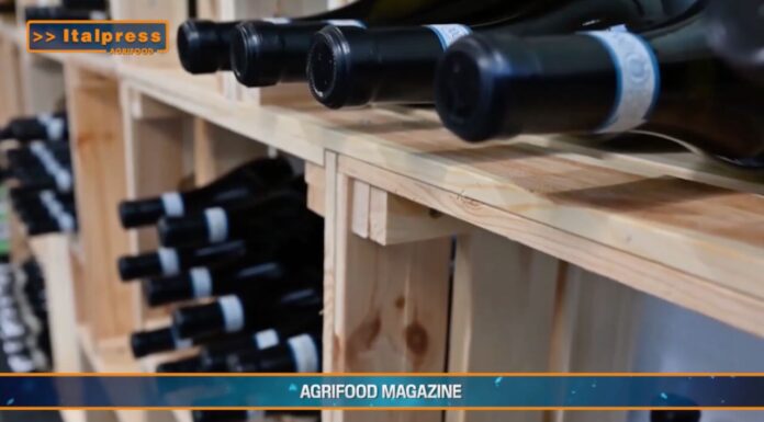 “Tg Agrifood Magazine” Il vino traina l’export degli alcolici europei