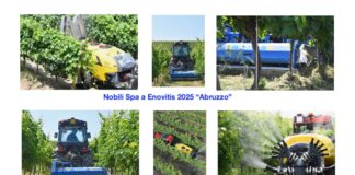 Nobili spa a Enovitis 2025: La sfilata finale!