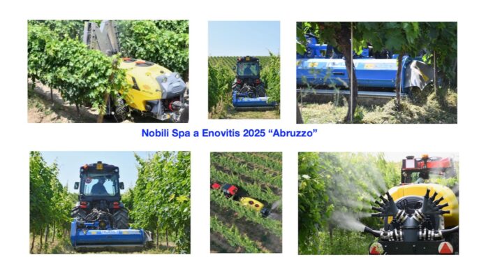 Nobili spa a Enovitis 2025: La sfilata finale!
