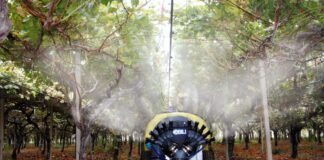 Precisione ed economicità con i nebulizzatori Nobili Spa IOT