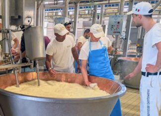 Il Consorzio Del Parmigiano Reggiano investe nei giovani e nella formazione: pubblicato il bando per quattro borse di studio dedicate alla filiera