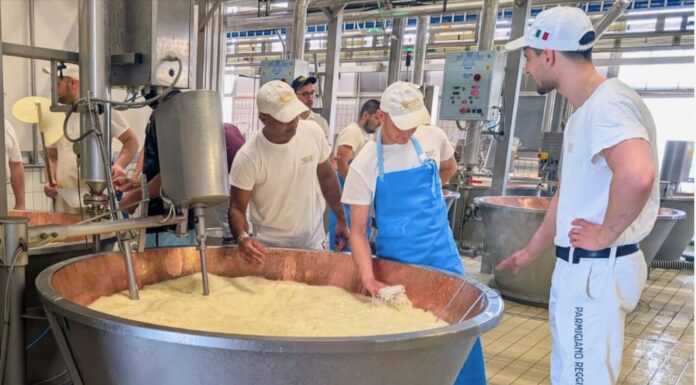 Il Consorzio Del Parmigiano Reggiano investe nei giovani e nella formazione: pubblicato il bando per quattro borse di studio dedicate alla filiera