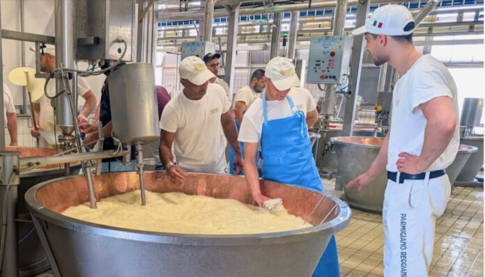 Progetto senza titolo - 1