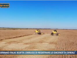 TG Agrifood – Granaio Italia, scatta l’obbligo di registrare le giacenze di cereali (Video)