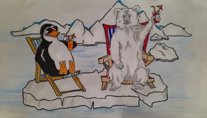 pinguino e orso con granite