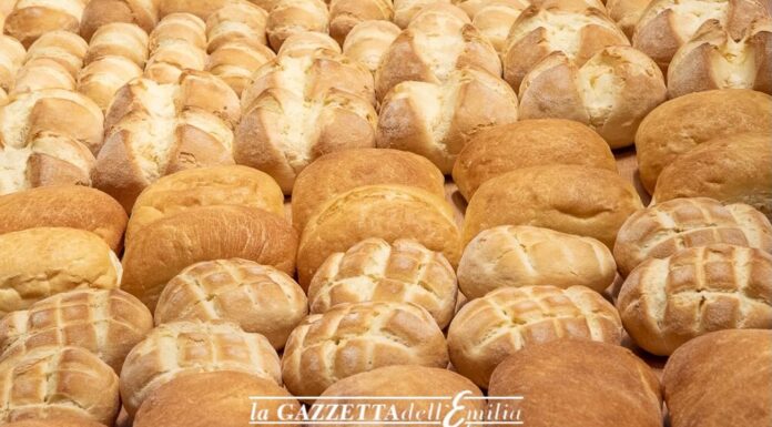 Settore alimentare: come ottimizzare la gestione fiscale per attività indipendenti