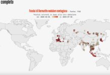 Patologie animali che stanno allarmando le comunità scientifiche.