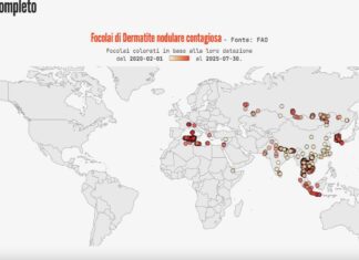 Patologie animali che stanno allarmando le comunità scientifiche.