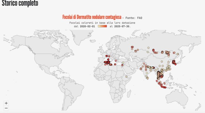 Patologie animali che stanno allarmando le comunità scientifiche.