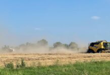 “Cereali e dintorni”. Rimbalzo prezzi in USA.