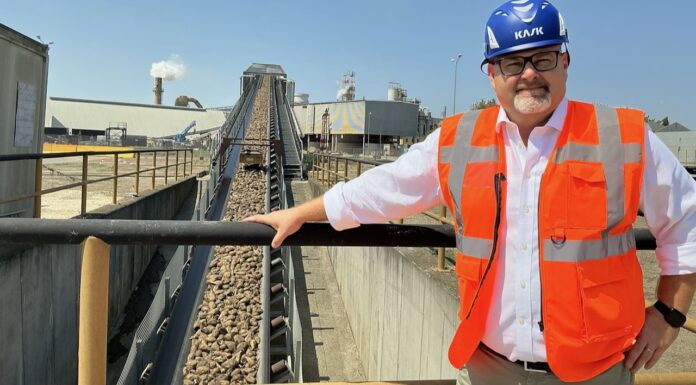 Zucchero: decolla il “biologico” a stagione conclusa, bene il “convenzionale” in avvio di campagna