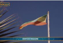 TG Agrifood – Agroalimentare, export italiano da record nel 2024 (Video)