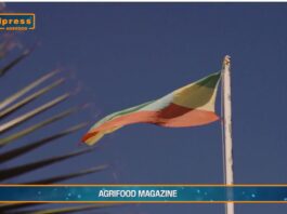 TG Agrifood – Agroalimentare, export italiano da record nel 2024 (Video)