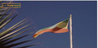 TG Agrifood – Agroalimentare, export italiano da record nel 2024 (Video)