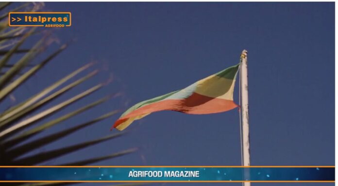 TG Agrifood – Agroalimentare, export italiano da record nel 2024 (Video)