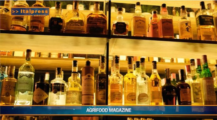 TG Agrifood – L’export agroalimentare dell’Ue raggiunge i 20 miliardi (Video)