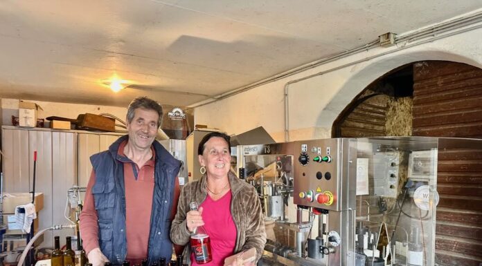 Maso Zollweghof: la visione di Irmgard e Franz tra natura, vino e tradizione