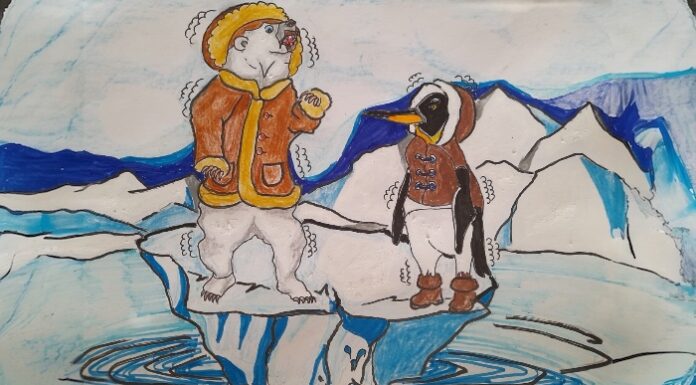 In attesa dei 40°C gradi l’artico si espande.