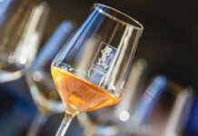 14° Mercato Dei Vini dei Vignaioli Indipendenti.