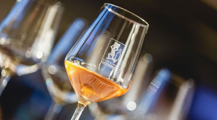 14° Mercato Dei Vini dei Vignaioli Indipendenti.