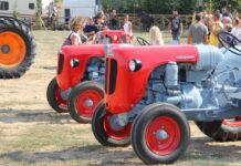 Nobili informa. Incrementato il “Fondo Innovazione per l’Agricoltura”