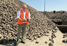 Appello al Governo della filiera italiana dello zucchero: rischio crollo con l’accordo MERCOSUR