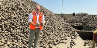 Appello al Governo della filiera italiana dello zucchero: rischio crollo con l’accordo MERCOSUR