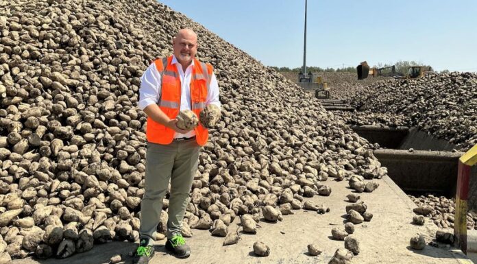 Appello al Governo della filiera italiana dello zucchero: rischio crollo con l’accordo MERCOSUR