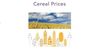 “Cereali e dintorni”. Grani stabili ma pesanti.