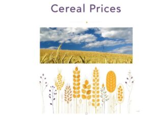 “Cereali e dintorni”. Grani stabili ma pesanti.