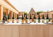 WineLabyrint a Parma: degustazioni, arte e nuovi orizzonti per il mondo del vino