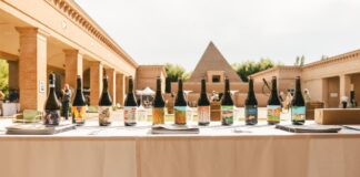WineLabyrint a Parma: degustazioni, arte e nuovi orizzonti per il mondo del vino