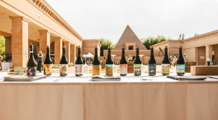 WineLabyrint a Parma: degustazioni, arte e nuovi orizzonti per il mondo del vino