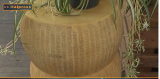 TG Agrifood – Italia leader Ue nell’export di formaggi (Video)
