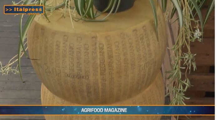 TG Agrifood – Italia leader Ue nell’export di formaggi (Video)