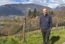 Eichenstein, l’anima del vino tra cielo e roccia