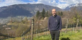 Eichenstein, l’anima del vino tra cielo e roccia