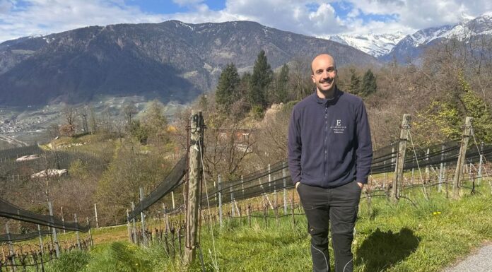 Eichenstein, l’anima del vino tra cielo e roccia