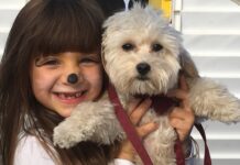 Pet Food in Italia: gli alimenti per cani e gatti valgono 4,2 miliardi di euro