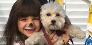 Pet Food in Italia: gli alimenti per cani e gatti valgono 4,2 miliardi di euro