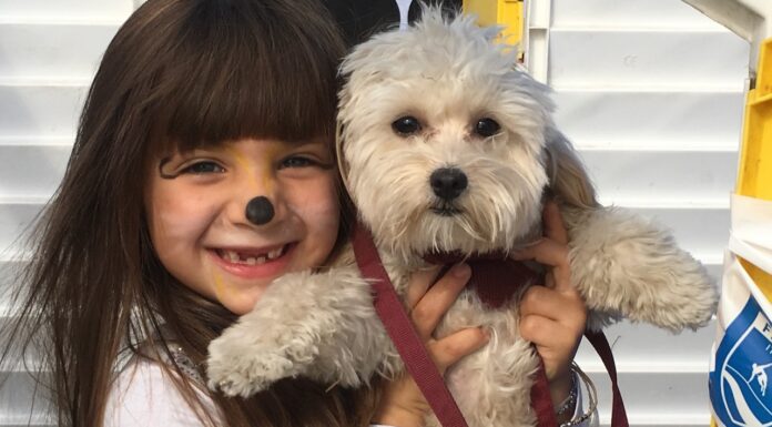 Pet Food in Italia: gli alimenti per cani e gatti valgono 4,2 miliardi di euro