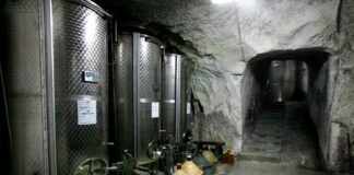 Cantine di Marzo: alle radici del Greco di Tufo e delle bollicine d’Irpinia