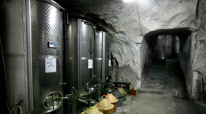 Cantine di Marzo: alle radici del Greco di Tufo e delle bollicine d’Irpinia