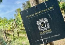 Tra vigne, profumi e l’azzurro di Capri