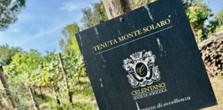 Tra vigne, profumi e l’azzurro di Capri